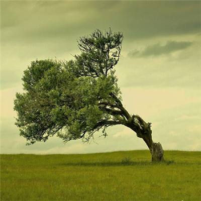 开云·体育(KYSports)