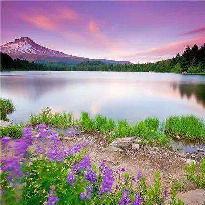 乐鱼手机app下载