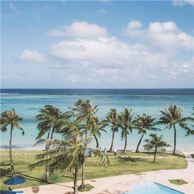 开云·体育(KYSports)