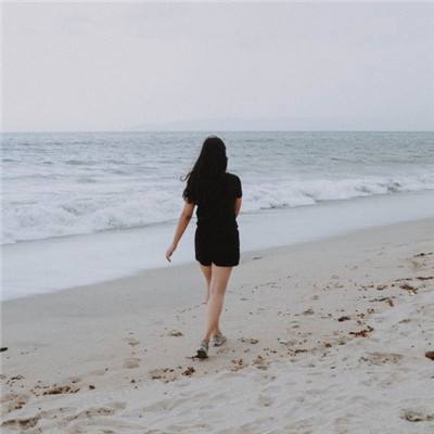 开云·体育(KYSports)